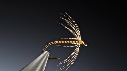 Tying a Pseudo quill spider Wet fly with Barry Ord Clarke