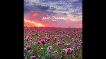 Surah Ghafir  (40) Verse سورة غافر (26) #islamicstatus #quran #subhbakhair #whatsappstatus