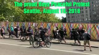 The proud boys protest in seattle & antifa showed up (are we
surprised?!)