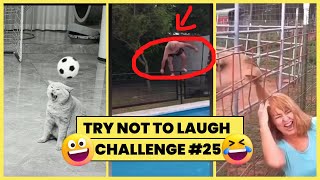 Fail Compilation EXTREME 2023 Funny People, Fails, Idiots, ylyl and more #25