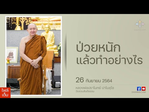 วีดีโอ: สนามบิน 14 สนามอนุญาตให้สุนัขบำบัด: การท่องเที่ยวไม่เคยสนุกและน่าขนลุก!