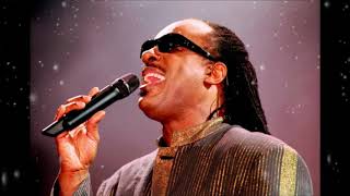 Stevie Wonder ~ Cold Chill (Live Audio) White Room 1995