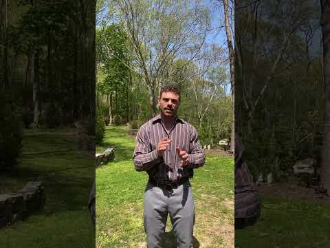 Chiropractor Visits Frequency