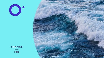 🇫🇷 Why ocean models and projections are essential for decision-making #OneOceanScience