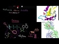 Cofactores enzimáticos y coenzimas | Energía y enzimas | Biología | Khan Academy en Español