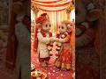 Baby Monkey Died For Nation, Baby Monkey Emotional Story. #ai #monkey #army #shorts