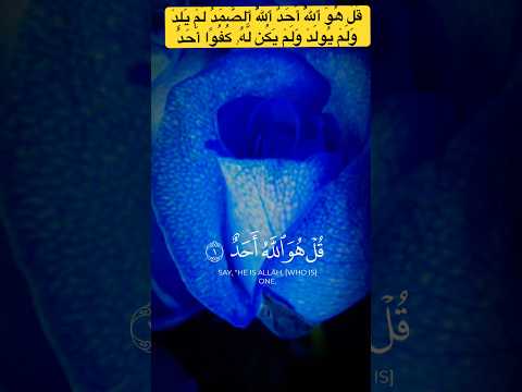 ق ل ه و ٱلل ه أ ح د ٱلل ه ٱلص م د ل م ي ل د و ل م ي ول د و ل م ي ك ن