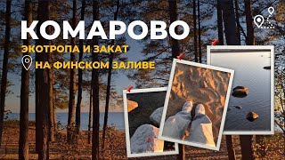 видео: Питерский VLOG | экотропа в Комарова и закат на Финском заливе картинка: Питерский VLOG | экотропа в Комарова и закат на Финском заливе