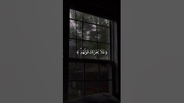 فلا يحزنك قولهم ||قران كريم ||محمد هشام||سورة يس ||مواساة ربانية