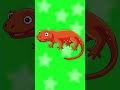 Animal Phonics Song I Phonics Song for Kids I Learn Phonics with Animals