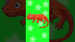 Animal Phonics Song I Phonics Song for Kids I Learn Phonics with Animals