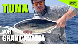 Angeln auf Gran Canaria | Thunfisch vor den Kanaren | Thunfisch Angeln mit fishonbluemarlin
