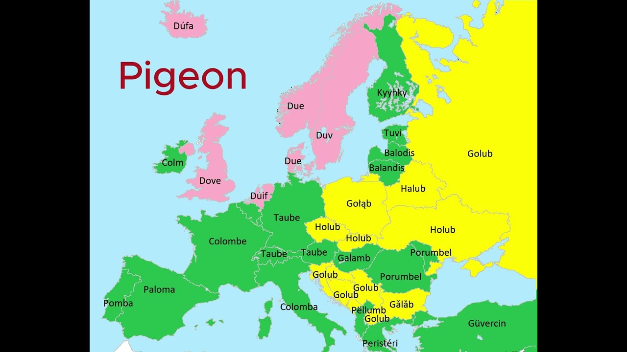 Birds in European Languages |  Language Map