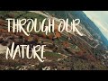 Flying through Nature - FPV -