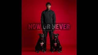 Sankomota - Now Or Never (Rivic Jazz Remix)