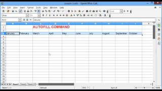 CAT 11_Spreadsheets_ Open Office Lesson 3 Autofill Options