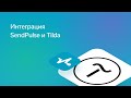 Интеграция SendPulse и Tilda