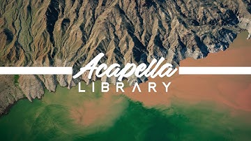 Duncan Laurence - Arcade ft. FLETCHER (Acapella - Vocals Only)