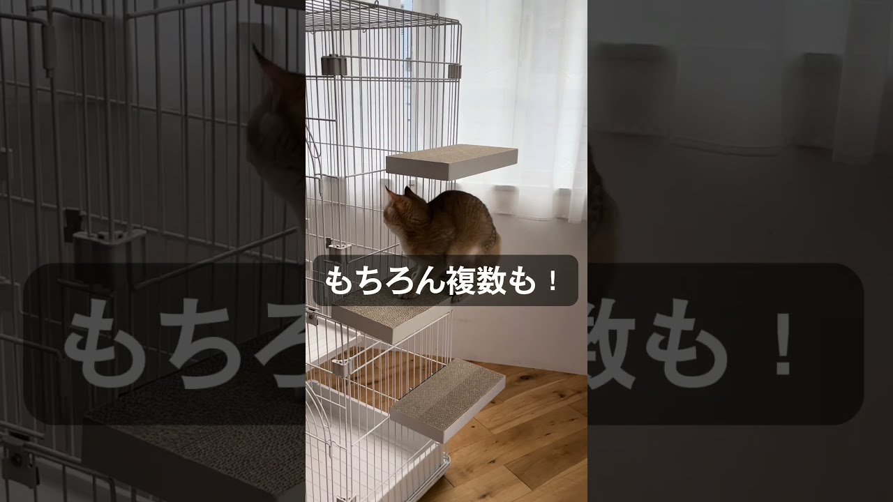 ケージ用ステップ #猫 #猫グッズ - YouTube