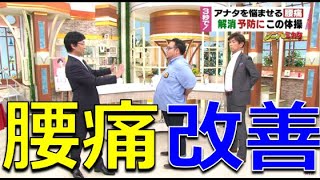 【腰痛】３秒で！腰痛の解消・予防にこの体操！腰の痛みが原因から消える！？lower back pain exercises