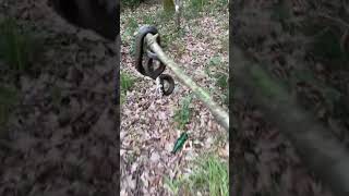 Kamp alanından uzağa bırktım.