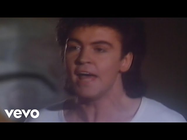 Paul Young - I'm Gonna Tear Your Playhouse Down (Official Video) class=