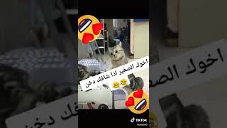 اذا شافك اخوك الصغير تشرب في سيجارة 