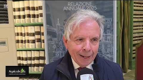 Mario Pepe (Covip) | Relazione Enpaia 2025