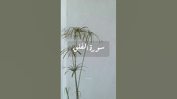 سورة الفلق || القارئ الشيخ ماهر المعيقلي #قرآن #اكسبلور #quran #holyquran