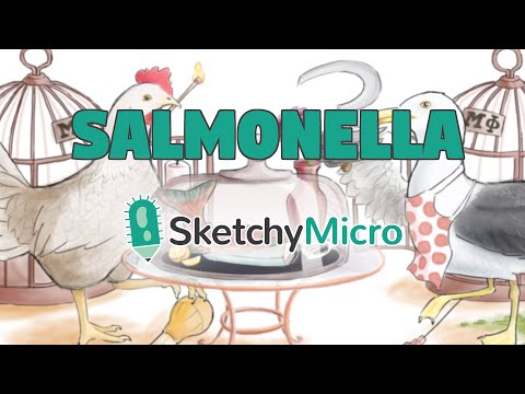 Salmonella's Salmon Diner - SketchyMicro / Sketchy Medical (USMLE Step 1)