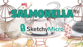 Salmonella's Salmon Diner - SketchyMicro \/ Sketchy Medical (USMLE Step 1)