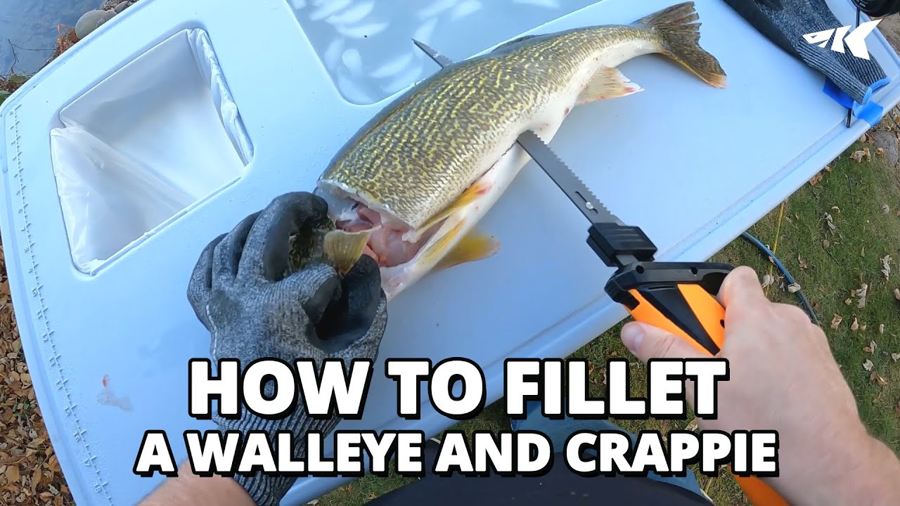 How to Fillet A Walleye and Crappie with KastKing Electric Fillet