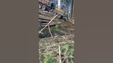 #mood #automobile #log #logging #logger #loger #forestry #operator