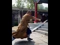 Shaolin Drunken Style Performance Shaolin Drunken Style Performance