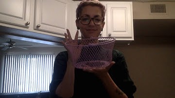 ASL Classifiers Video 1