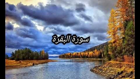 تلاوة خاشعة من سورة البقرة الربع الثالث .القارئ أمير سيد