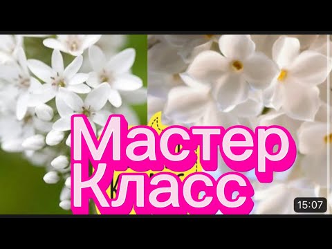 Как сделать цветы из полимерной глины своими руками