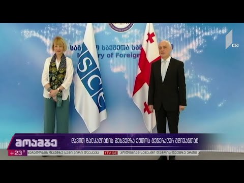 დავით ზალკალიანის შეხვედრა ეუთო-ს გენერალურ მდივანთან