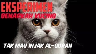 Benarkah Kucing tak mau injak Al-Qur'an