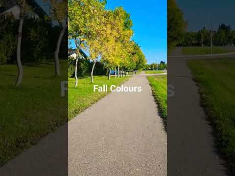 Fall Colours Started in Yorkton #nature #canada #travel #youtubeshorts