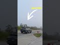 Fingerprint & Tim Sighting