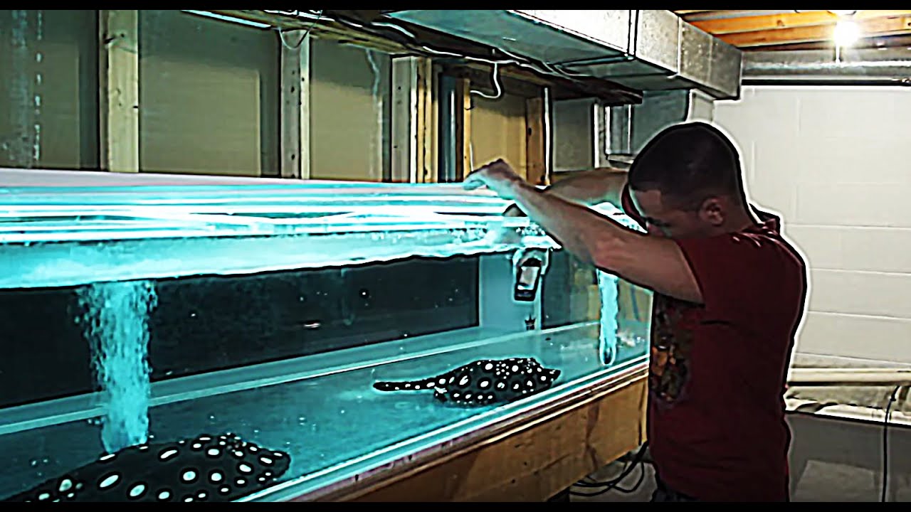 HOW TO 5 underwater aquarium camera YouTube