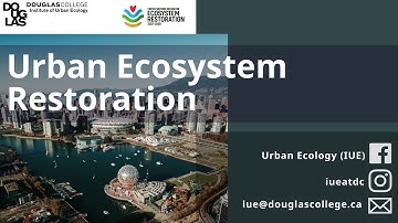 Urban Ecosystem Restoration