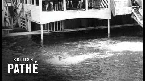 Do You Reverse (1928)