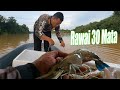 # 137-  Merawai Menjala Dan Memancing , Trip Udang Galah 2 Hari 2 Malam (Inflatable Boat Vlog)