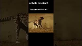 Top 5 Craziest Fails Of August 31St, 2023