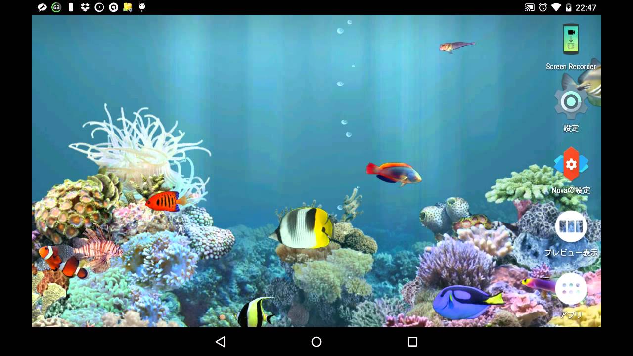 アンドロイドのライブ壁紙 Anipet海洋水族館ライブ壁紙 Android Live Wallpaper Anipet Marine Aquarium Live Wallpaper Youtube