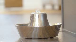 How to Assemble Your PetSafe® Seaside Stainless Pet Fountain