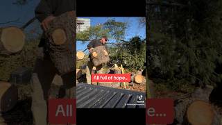 Chopping wood Kindof ? motivation funny yardwork fitover50 funnyshorts