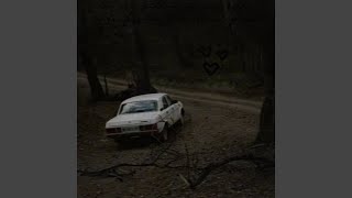 Had I Known I Wouldn't See You Again